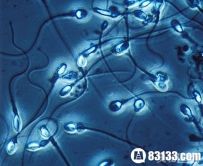 研究发现声音低沉的男性精子数量更低（图）