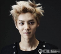 盘点2016最火小生：杨洋吴亦凡鹿晗大热