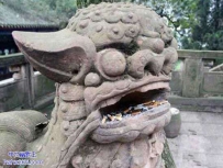 悲催的石狮子，你看的什么门
