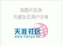 搞笑！百度，你知道的太多啦（组图）