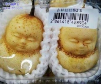 超市居然在卖人参果