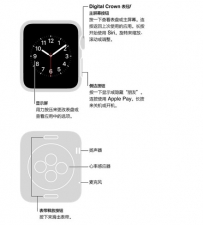 Apple Watch的功能有哪些