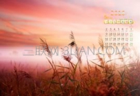 台式机显卡和笔记本显卡是不是一样