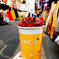 CUPCUP炸鸡杯韩国小吃登入襄阳古城