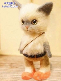 超萌超可爱的毛绒猫咪