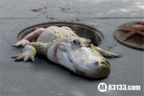 搜罗世界各地恐怖传说 血腥玛丽的传说