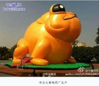 广东中山现“大黄蛙” 传与大黄鸭同厂生产