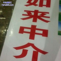 希望佛祖能给我个好工作