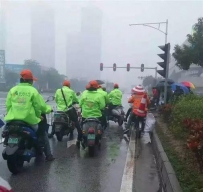 滴滴打驴被叫停，首日下载量超5千 涉嫌非法营运