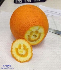 快乐的橙子