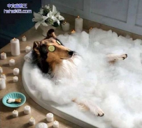 好悠闲的生活~
