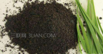 韭菜籽泡酒有什么功效