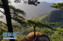 [组图]景色秀丽的大别山