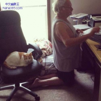 我把座位让给了宝贝猫