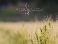 小满养生常识
