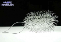 玻璃微生物(10张)