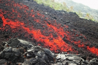 震撼！火山熔岩烧毁树木瞬间