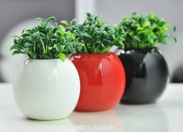 10种花瓶摆件介绍