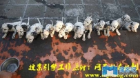 搜索引擎工作原理：网页关键词排名机制