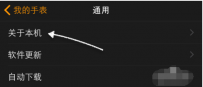 查看Apple Watch存储容量大小的两种方法