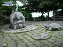 邪恶的海龟雕像