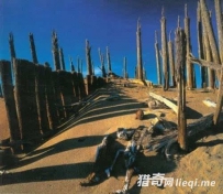 双鱼玉佩事件与彭加木 两者之间究竟有什么关系？