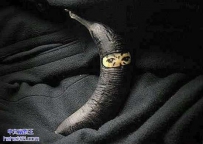 香蕉忍者