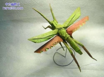 昆虫折纸艺术（11张）