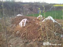 小伙上吊去世，头七时托梦给奶奶，真想才被解开......