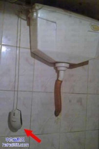 无处不在的鼠标