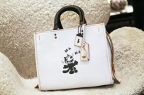 COACH蔻驰 x Felix the Cat菲力猫联名限量系列