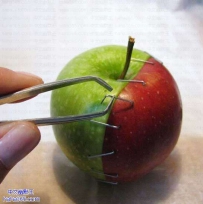 强扭的苹果也是不会甜的