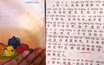 外婆还是姥姥？方言战争背后的失落上海人