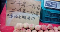 我可是等了6年啊