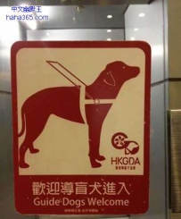 给人看的还是给狗看的