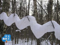 像条毛巾，这雪怎么下的呀