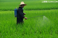 提高农药药效的6个方法