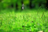 关于立夏的农事