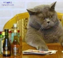 这次我把全部家当堵上