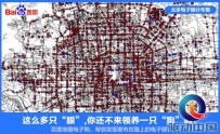 百度地图电子狗 帮开车族省钱受追捧