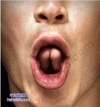 丫丫的，这也是少儿不宜