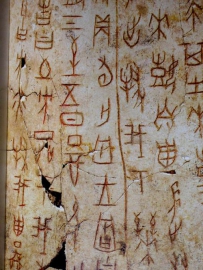一片甲骨惊天下 甲骨文从何而来？为何“一字千金”？