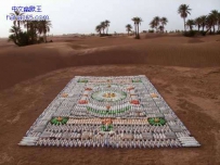 你意想不到的地毯?（24张）