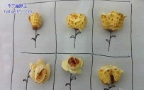 吃货的无聊之作