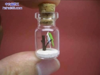 小瓶子里的微缩模型（9张）