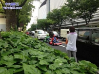 逛街居然遇到超级玛丽，赚翻