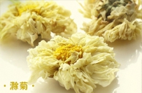 别再长期喝菊花茶了！连续喝4天都不行！