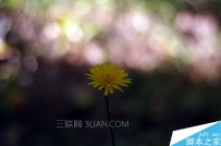 手机光圈大好还是小好