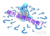 高自个儿网站的品牌词指数的几种形式