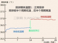 如何查看排卵期